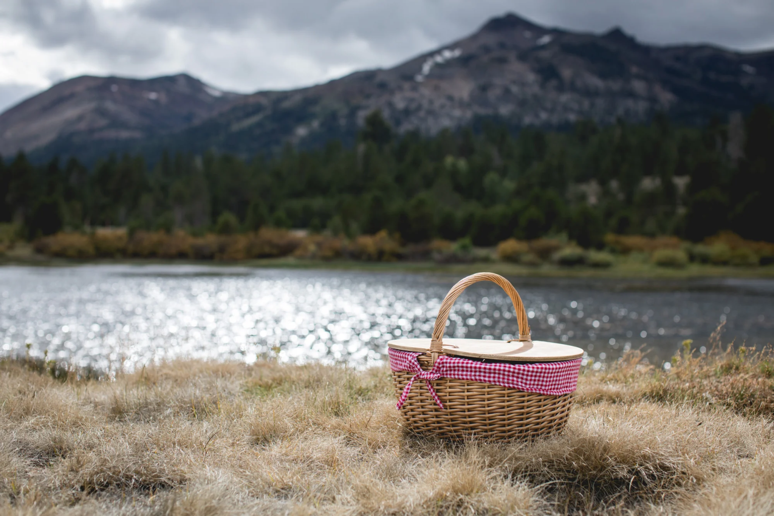 Country Picnic Basket 44.5x33.6x37cm
