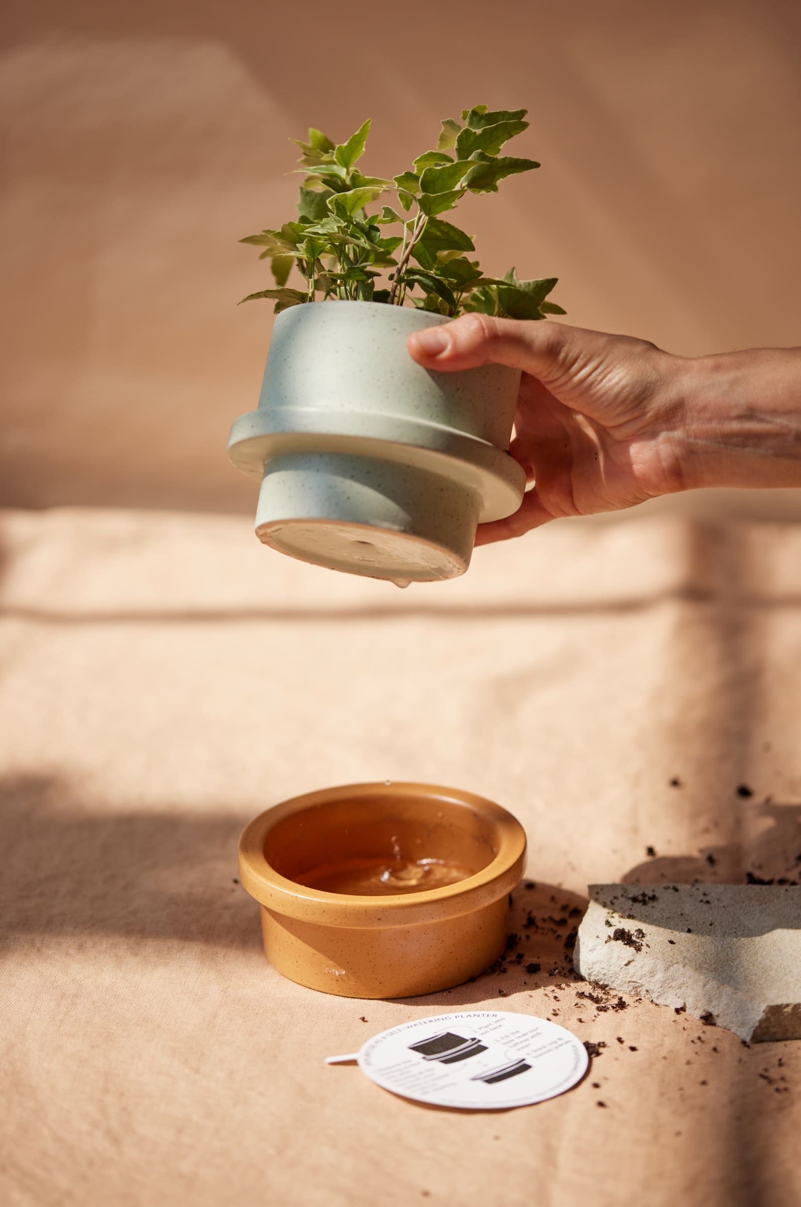 Paddywax Folia Ceramic Candle 141gr