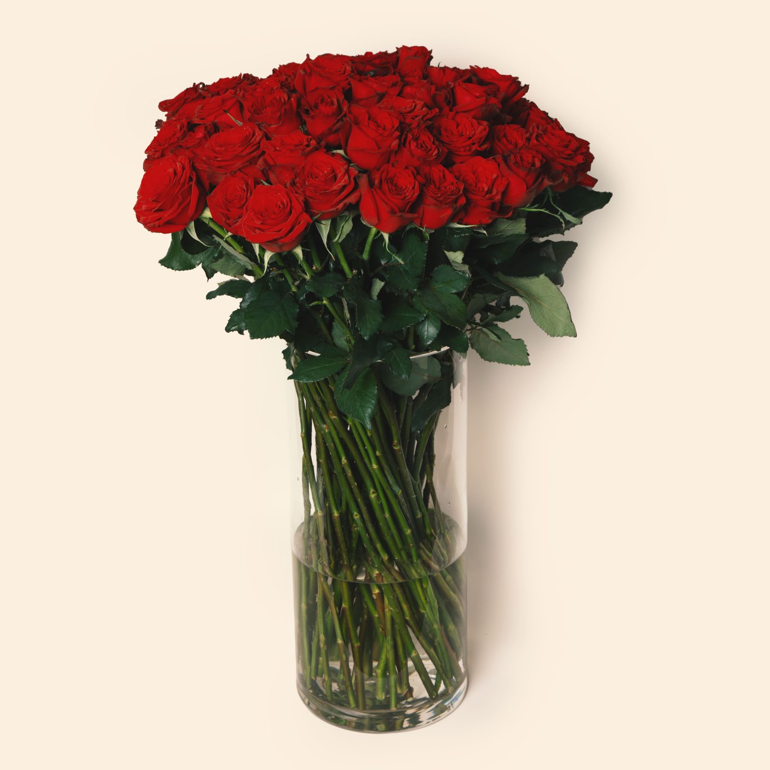 Red roses