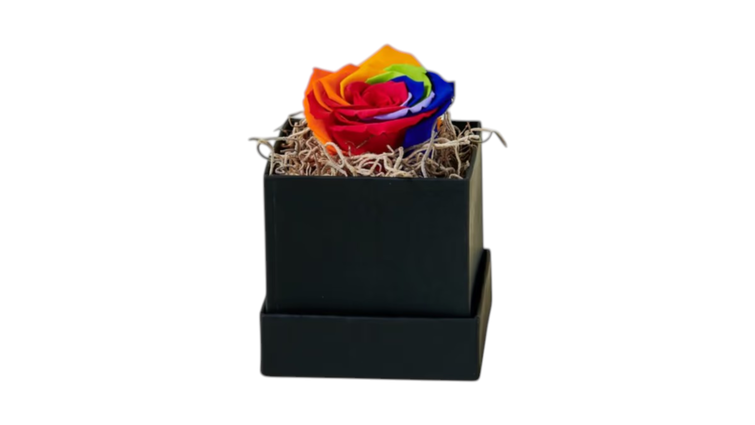 Forever rose colourful - box