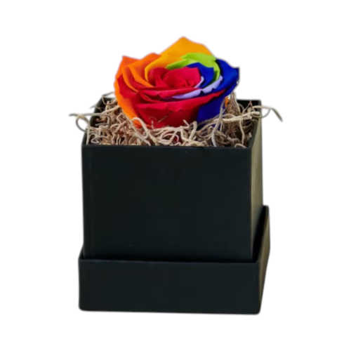 Forever rose colourful - box