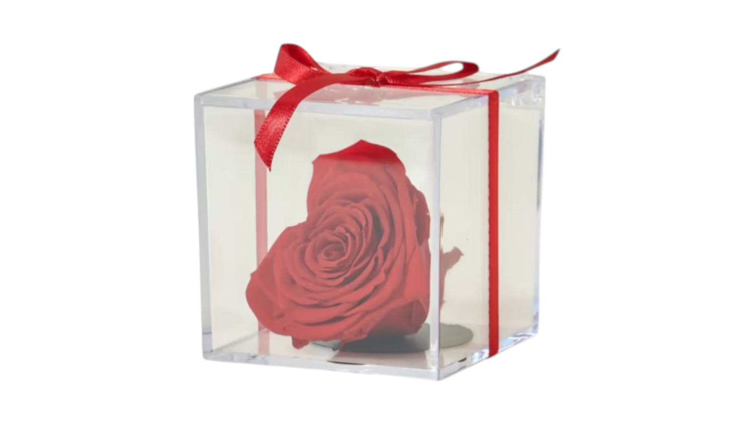 Forever rose heart - plexi